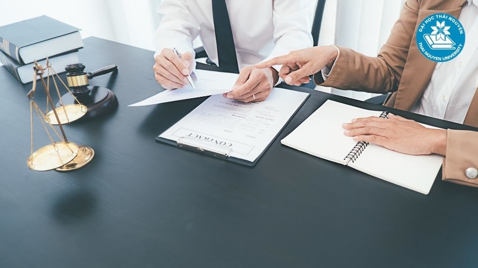 Học luật ra làm gì? Những công việc phù hợp với cử nhân luật