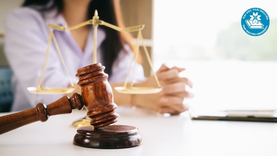Học luật mấy năm theo từng hệ đào tạo?