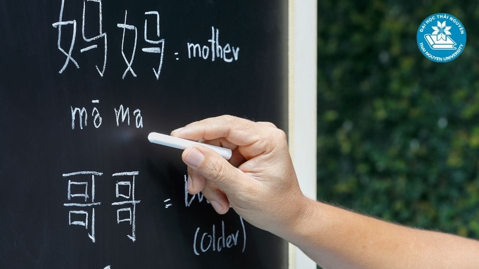 Học ngành ngôn ngữ Trung Quốc hệ từ xa tại đại học Thái Nguyên