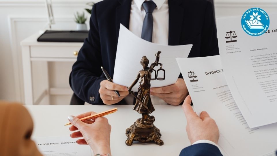 Có nên học luật kinh tế không? Phân tích tiềm năng nghề nghiệp và triển vọng phát triển
