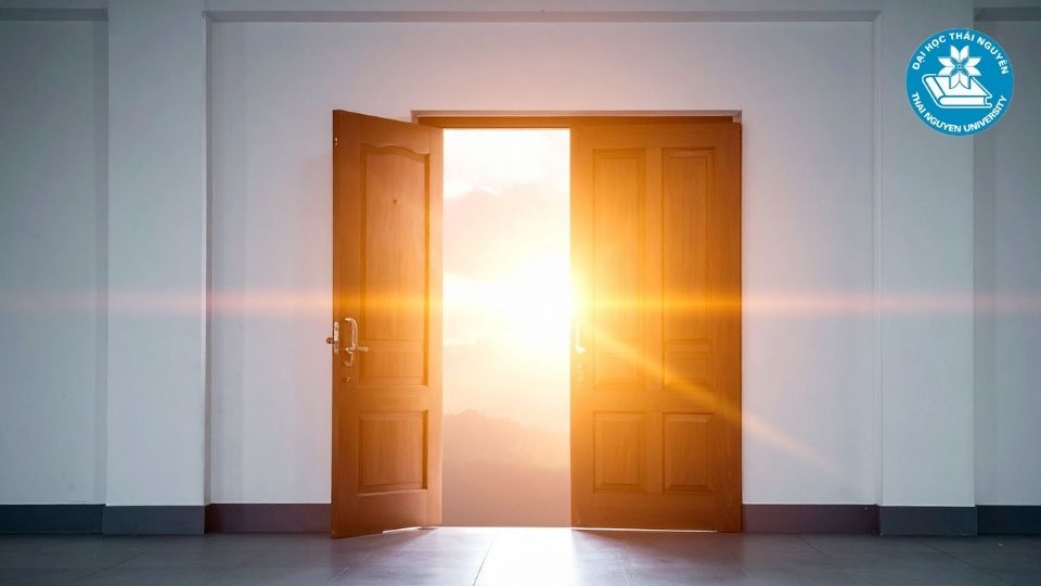 Học ngành luật ra trường làm gì và có áp lực không?