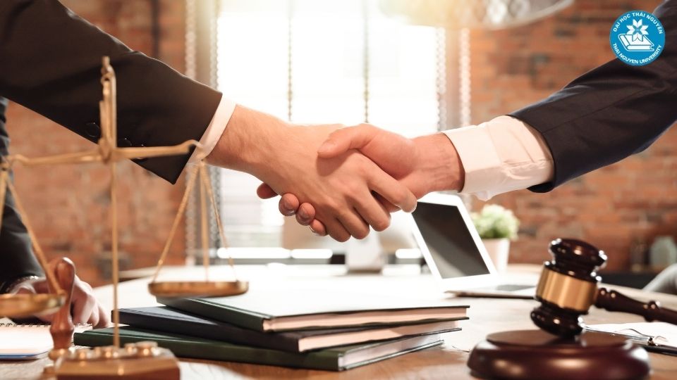 Những kiến thức cốt lõi trong khung chương trình đại học ngành luật
