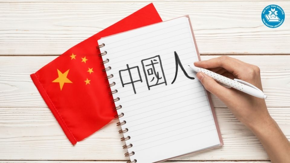 Cơ hội việc làm ngành ngôn ngữ Trung năm 2026