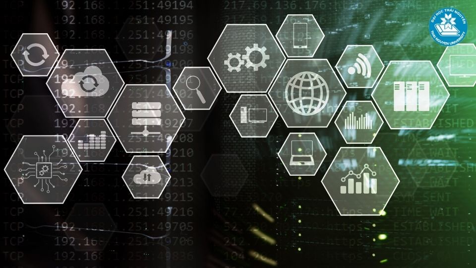 Lương ngành IT tại Việt Nam đang ở mức nào?