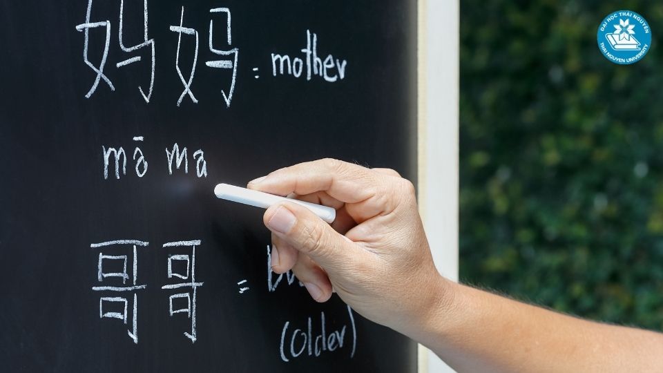 Cơ hội việc làm và mức lương ngành ngôn ngữ Trung hiện nay