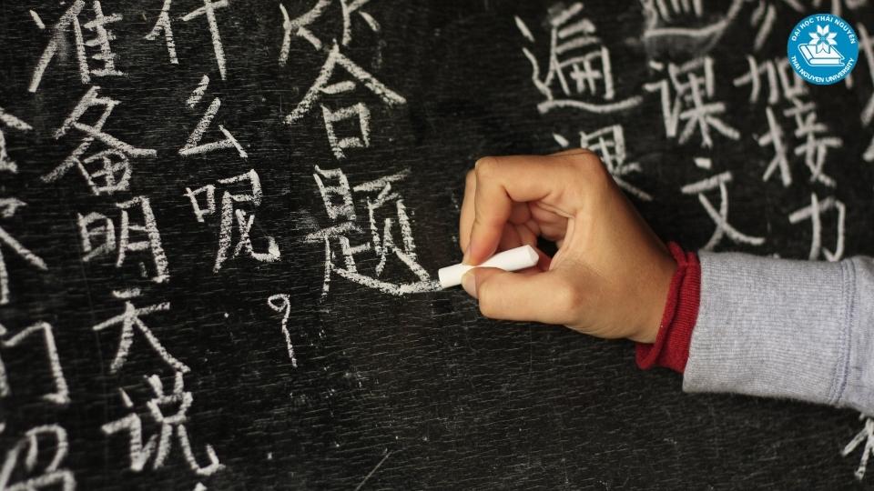 Ngành ngôn ngữ Trung là gì?