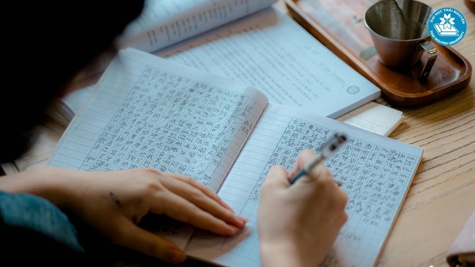 Nên chọn chuyên ngành ngôn ngữ Trung nào?