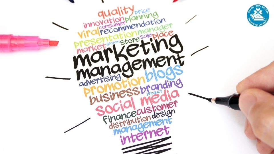 Học marketing ra làm gì? 6 vị trí công việc phổ biến hiện nay