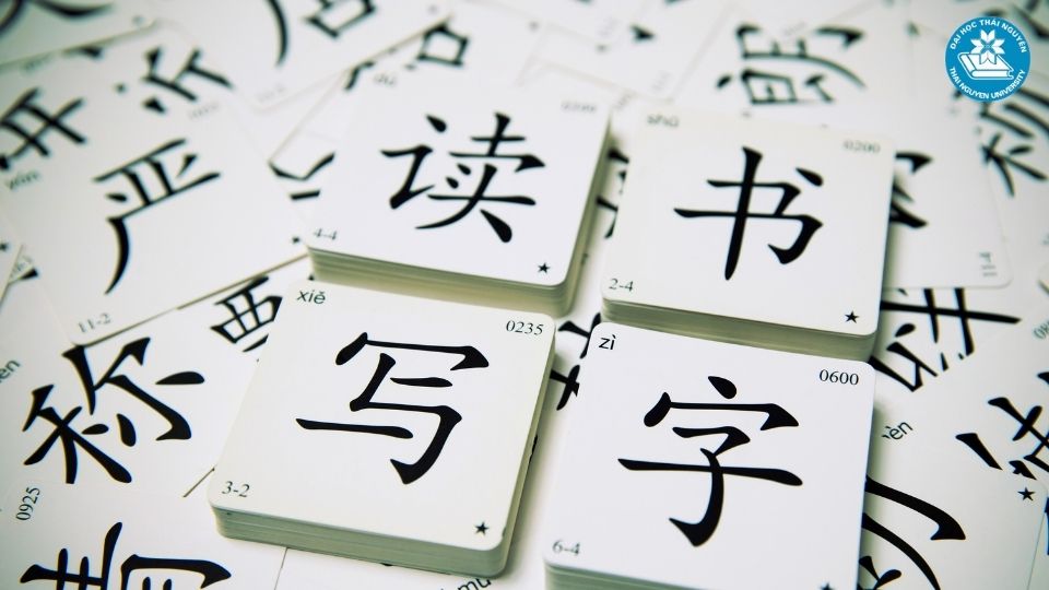 Tại sao nên chọn học liên thông ngôn ngữ Trung trong bối cảnh hiện nay?