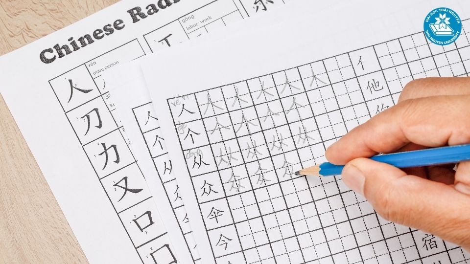 Bí quyết tối ưu hóa lộ trình học tiếng Trung cho người đi làm
