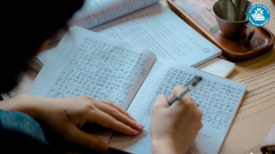 Tại sao nên chọn học ngôn ngữ Trung văn bằng 2 ngay hôm nay?