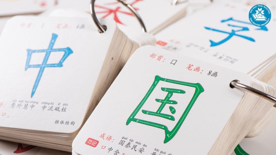 Chương trình đào tạo ngành Ngôn ngữ Trung giữa các trường có gì khác nhau?