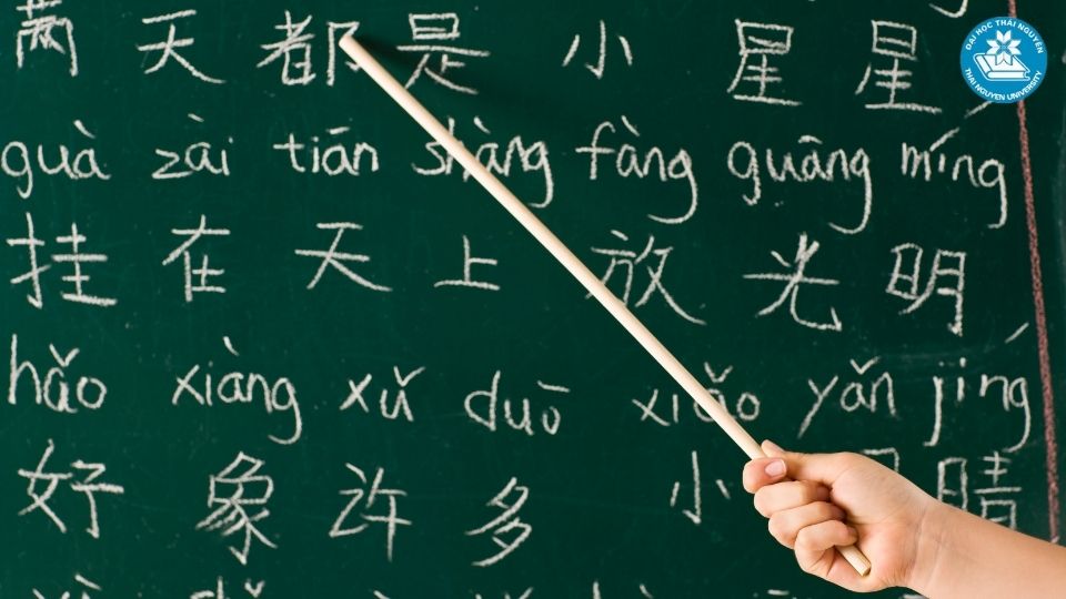 Học ngành Ngôn ngữ Trung theo hệ từ xa tại Đại học Thái Nguyên