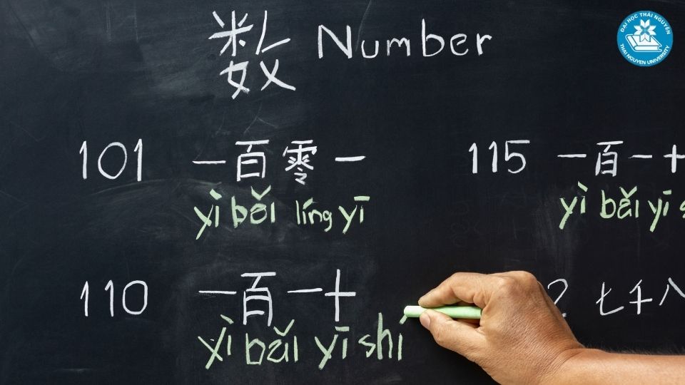 Những thách thức và sai lầm thường gặp khi chọn ngành quản trị doanh nghiệp