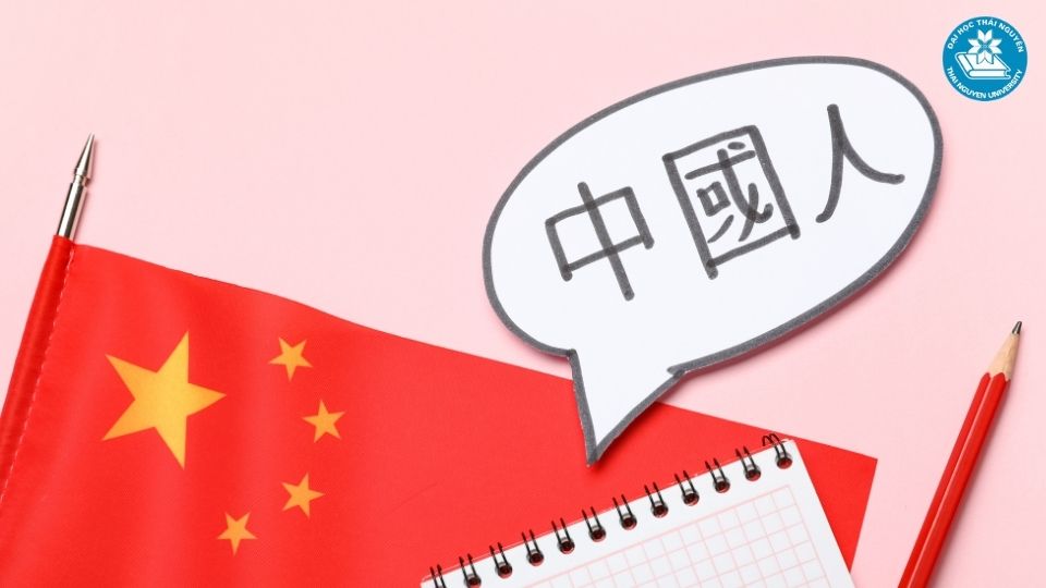 Phương pháp chọn ngôn ngữ phù hợp với năng lực cá nhân
