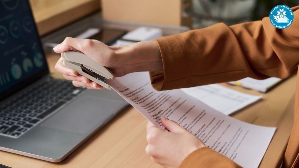 Quản trị kinh doanh làm nghề gì? 