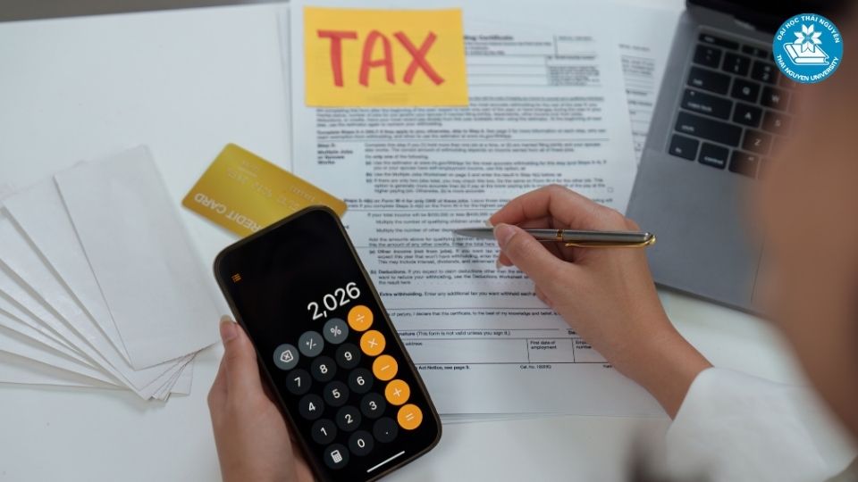 Tìm hiểu về vị trí kế toán tổng hợp và vai trò cốt lõi