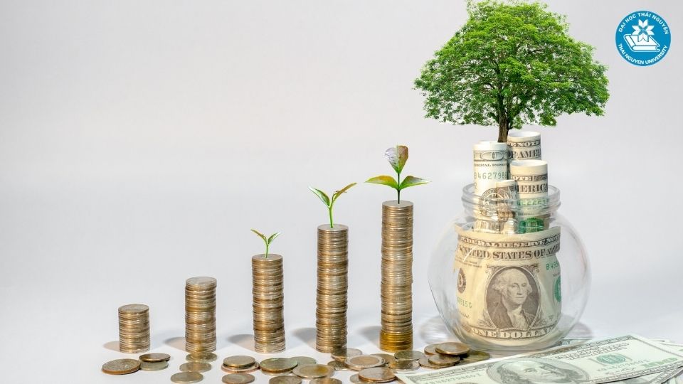 Học ngành tài chính ngân hàng từ xa tại Đại học Thái Nguyên