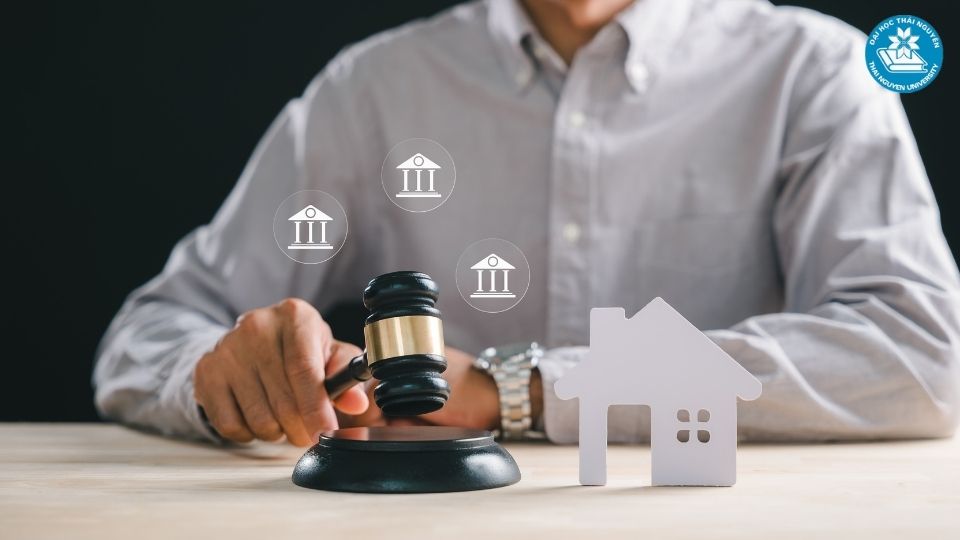 Luật kinh tế học mấy năm?