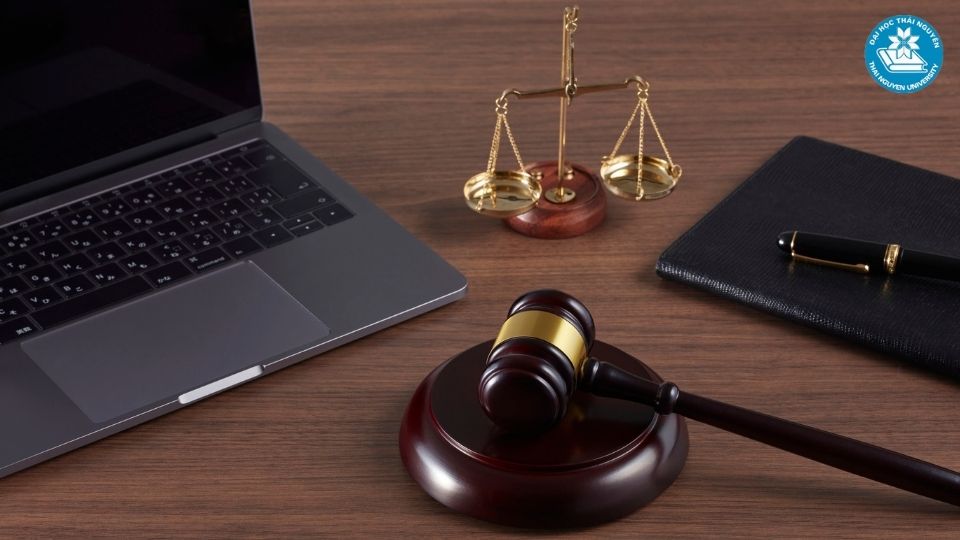 Giới thiệu chương trình học ngành luật kinh tế theo hệ từ xa tại Đại học Thái Nguyên