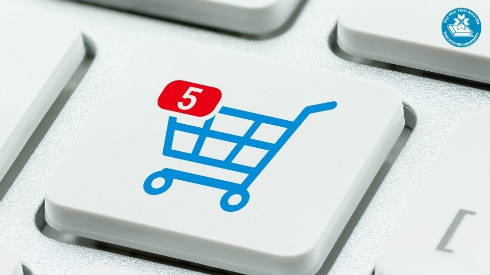 Học ngành Thương mại điện tử và Marketing số tại Đại học Thái Nguyên