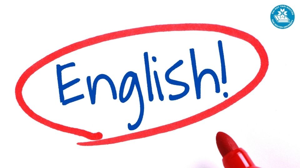 Bản chất của ngành quản trị kinh doanh và vai trò của ngoại ngữ
